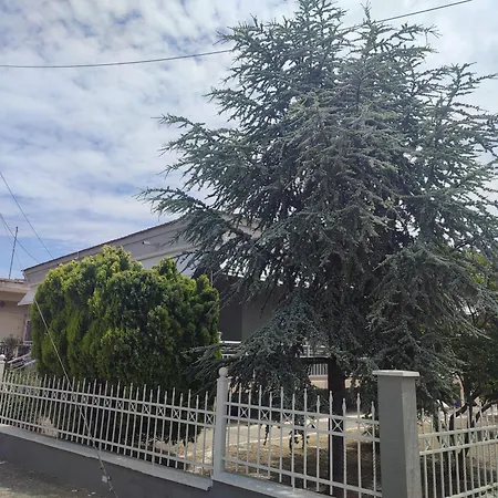 Apartmán Martha's House